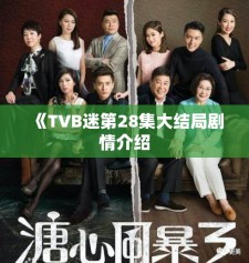 《TVB迷第28集大结局剧情介绍