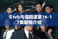 《tvb与谍同谋第16-17集剧情介绍