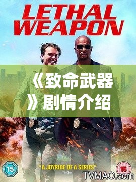 《致命武器》剧情介绍