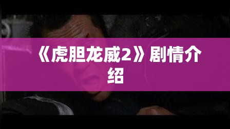 《虎胆龙威2》剧情介绍