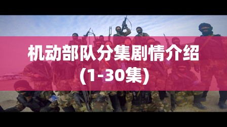 机动部队分集剧情介绍(1-30集)