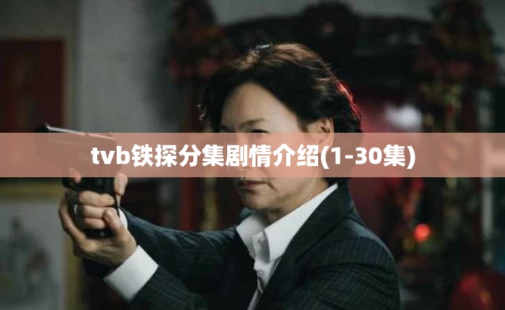 tvb铁探分集剧情介绍(1-30集)