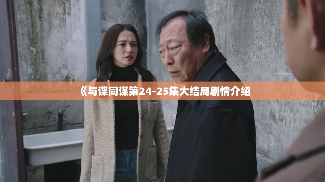 《与谍同谋第24-25集大结局剧情介绍