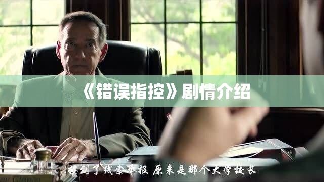 《错误指控》剧情介绍