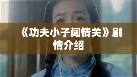 《功夫小子闯情关》剧情介绍