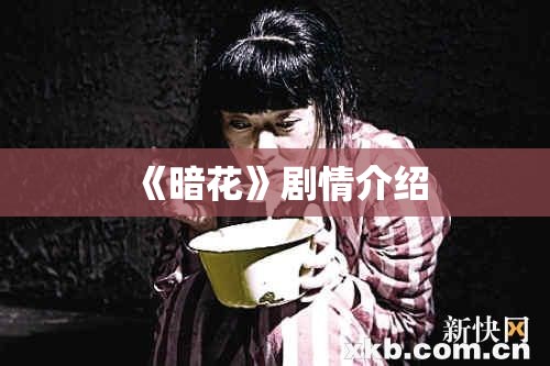 《暗花》剧情介绍