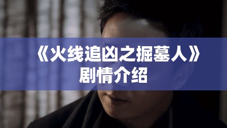 《火线追凶之掘墓人》剧情介绍