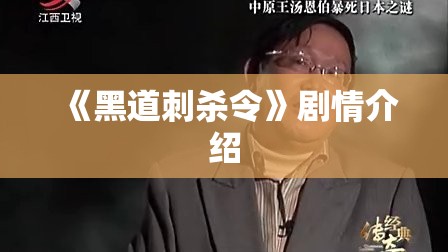 《黑道刺杀令》剧情介绍