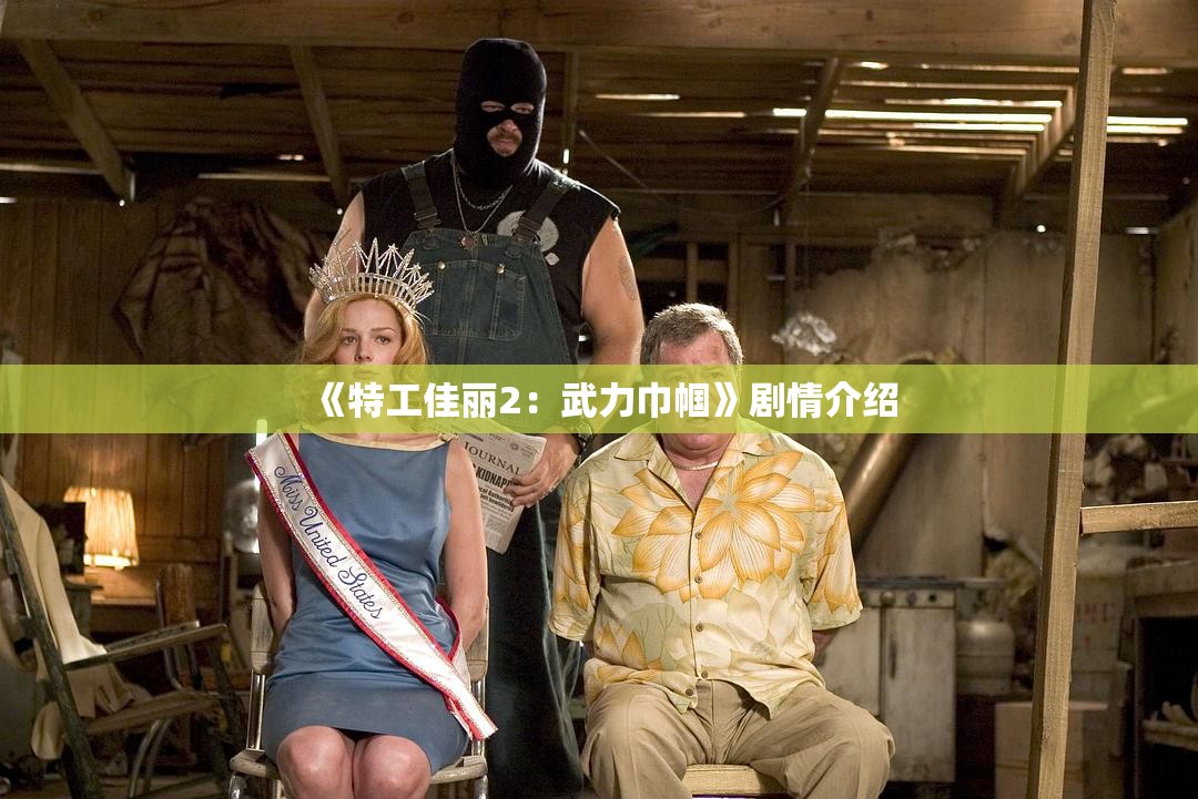 《特工佳丽2：武力巾帼》剧情介绍