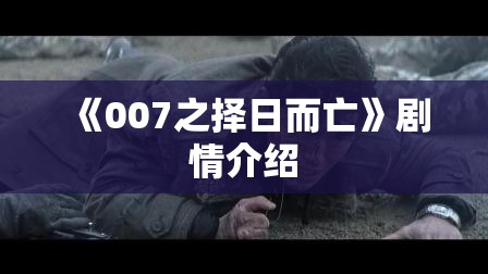 《007之择日而亡》剧情介绍