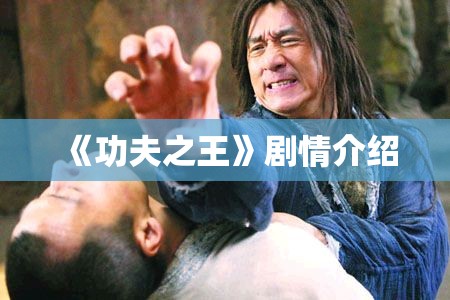 《功夫之王》剧情介绍