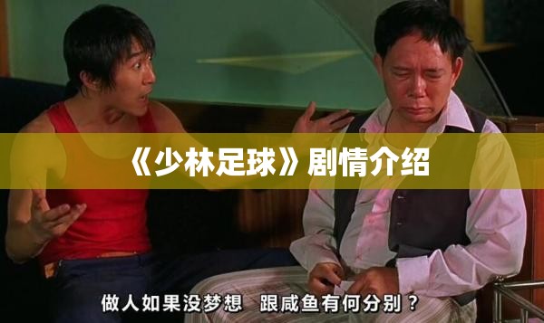 《少林足球》剧情介绍