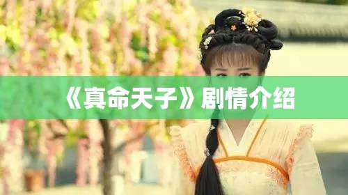 《真命天子》剧情介绍