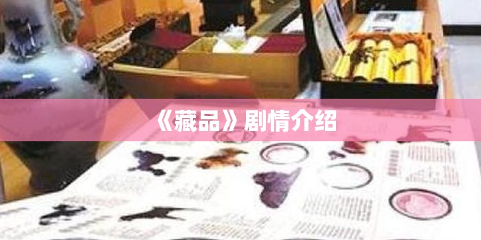 《藏品》剧情介绍