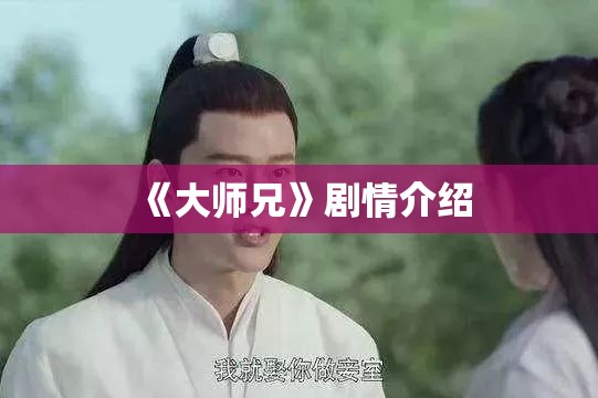 《大师兄》剧情介绍